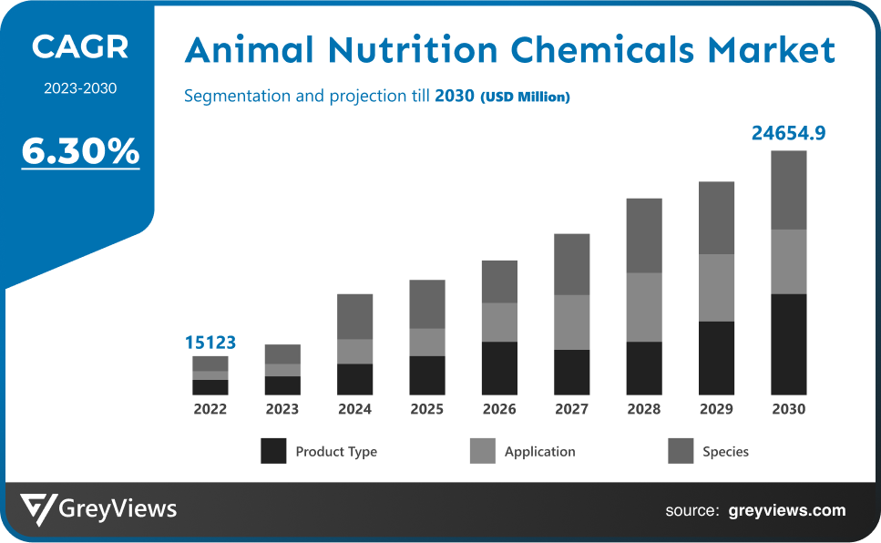 Animal Nutrition Chemicals Market- CAGR