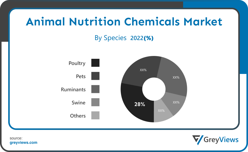 Animal Nutrition Chemicals Market- By Species