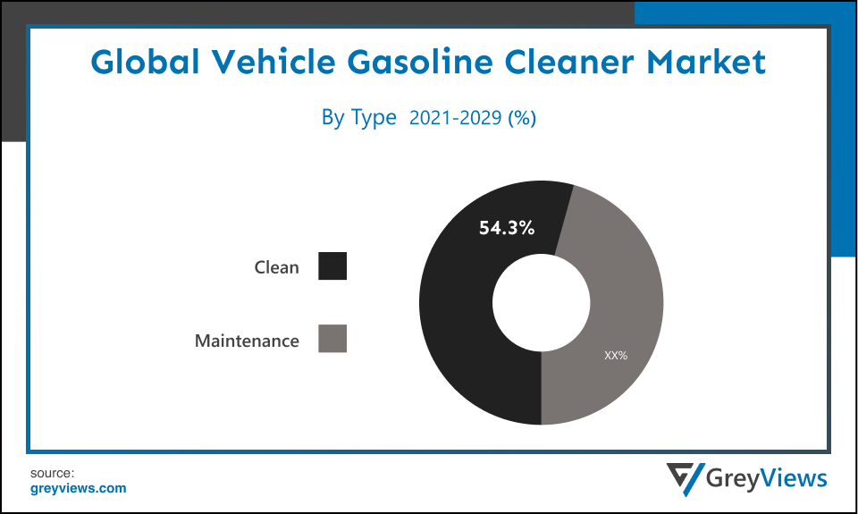 Vehicle Gasoline Cleaner Market- By Type