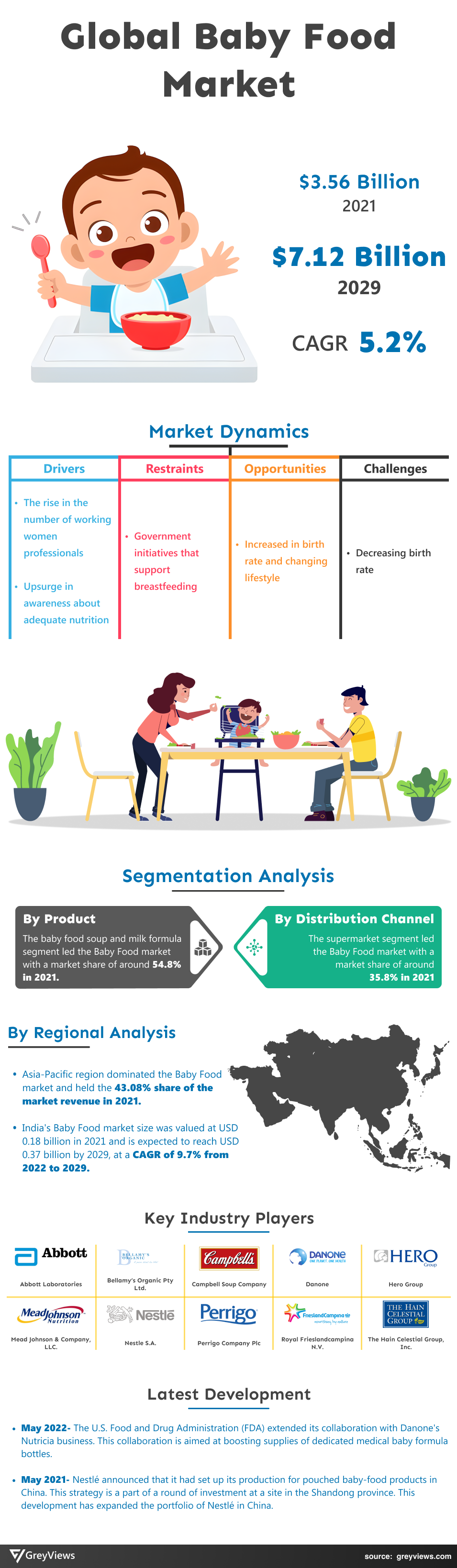 Greyviews Baby Food Market Infographics