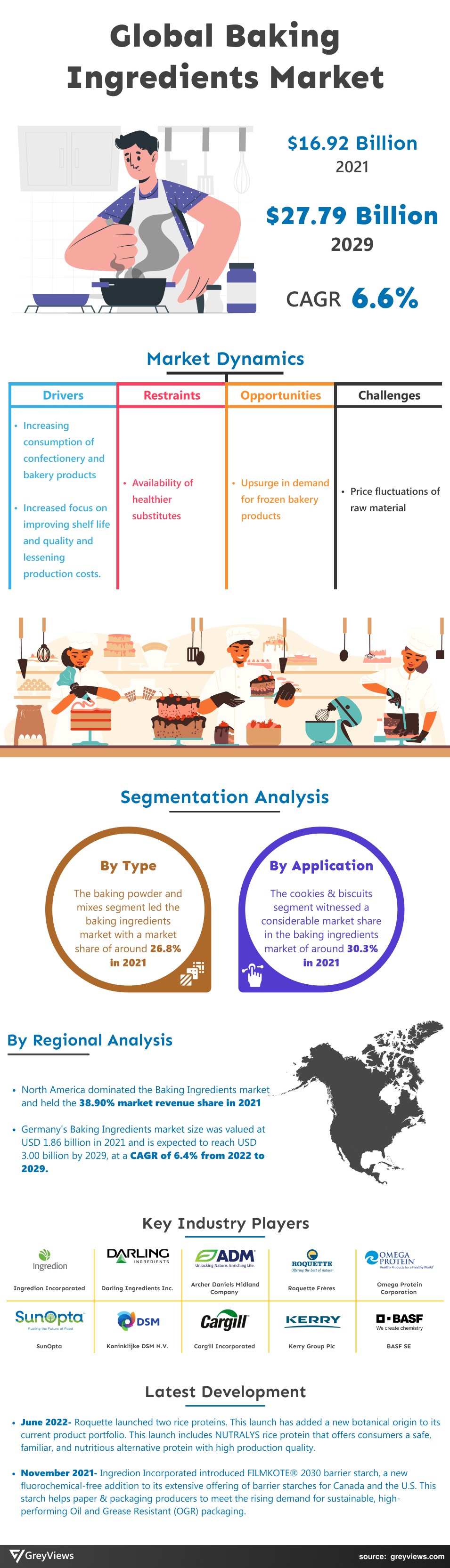 Baking Ingredients Market Infographics