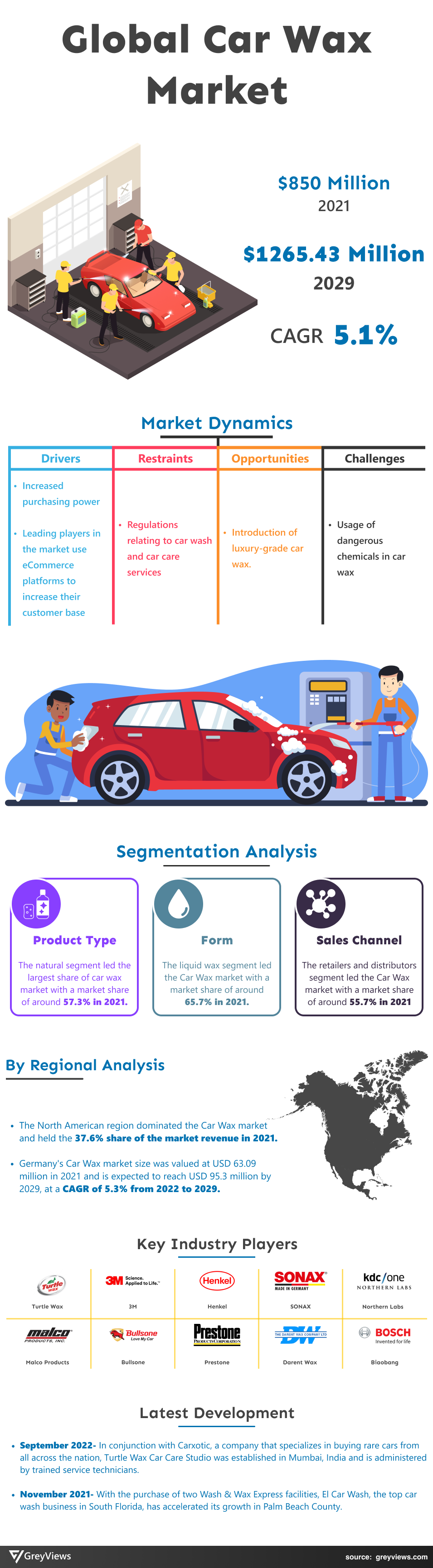 Greyviews Car Wax Market Infographics