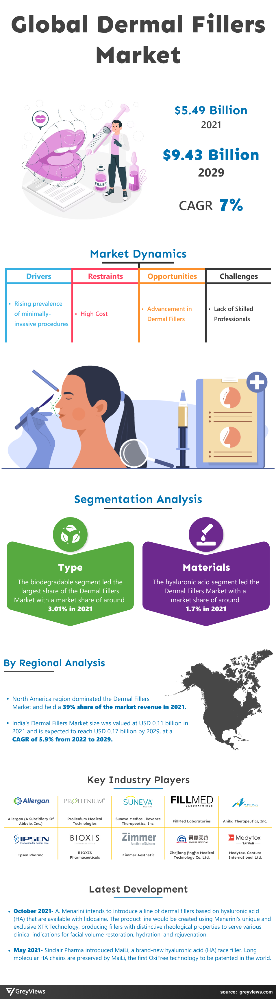 Dermal Fillers Market