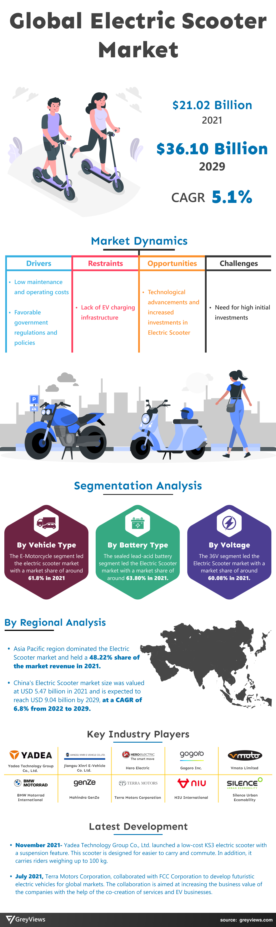Greyviews Electric Scooter Market Infographic