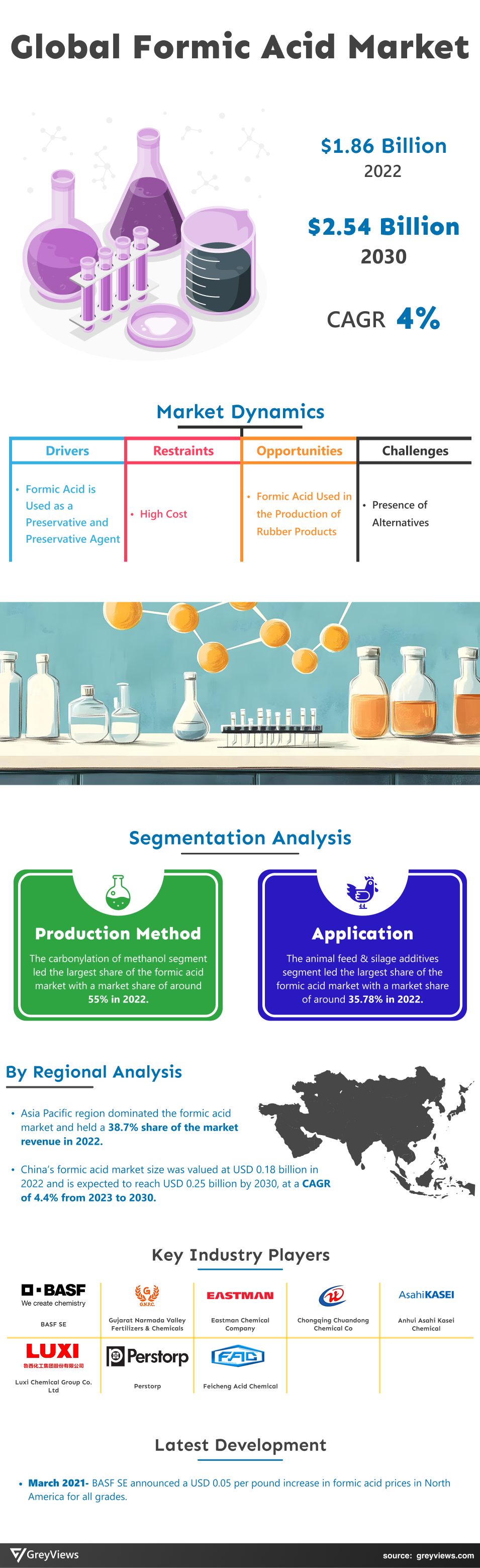 Formic Acid Market