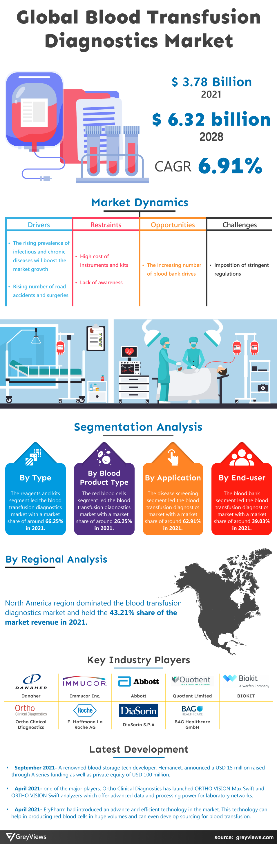 Greyviews Blood Transfusion Diagnostics Market Infographic