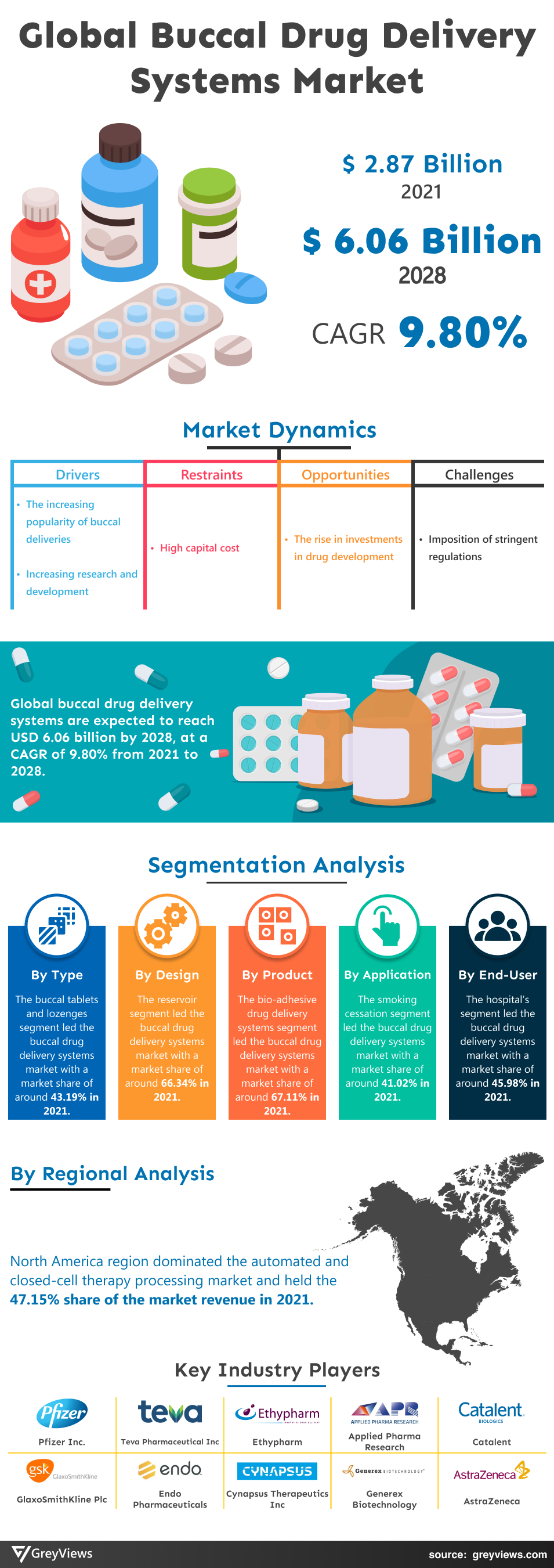 Greyviews Buccal Drug Delivery Systems Market Infographic