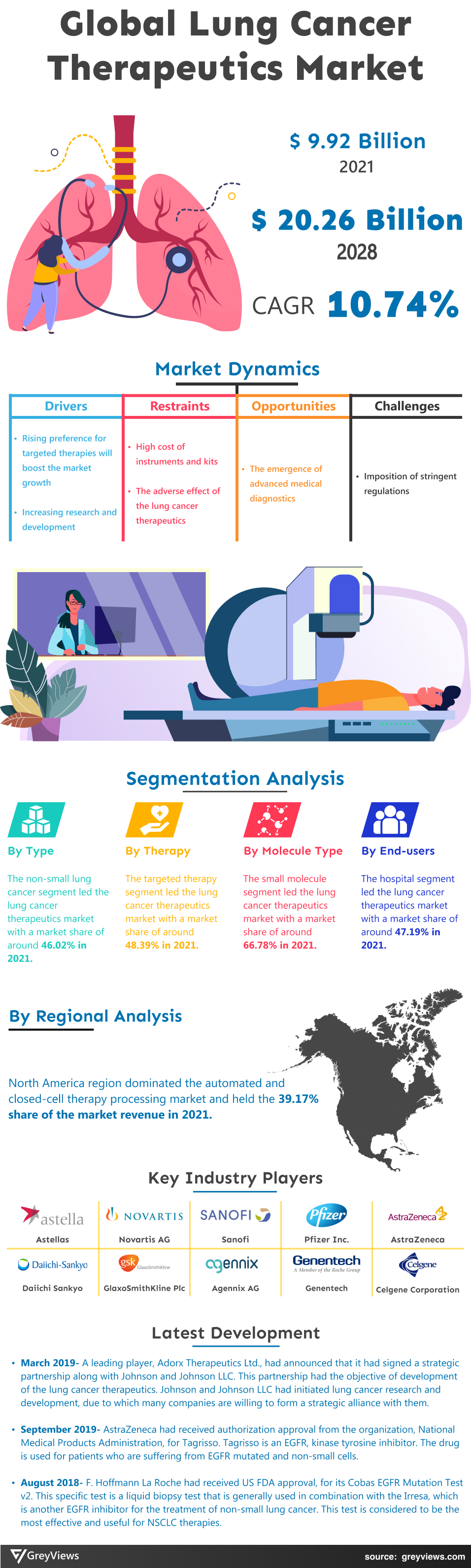 Greyviews Lung Cancer Therapeutics Market Infographic