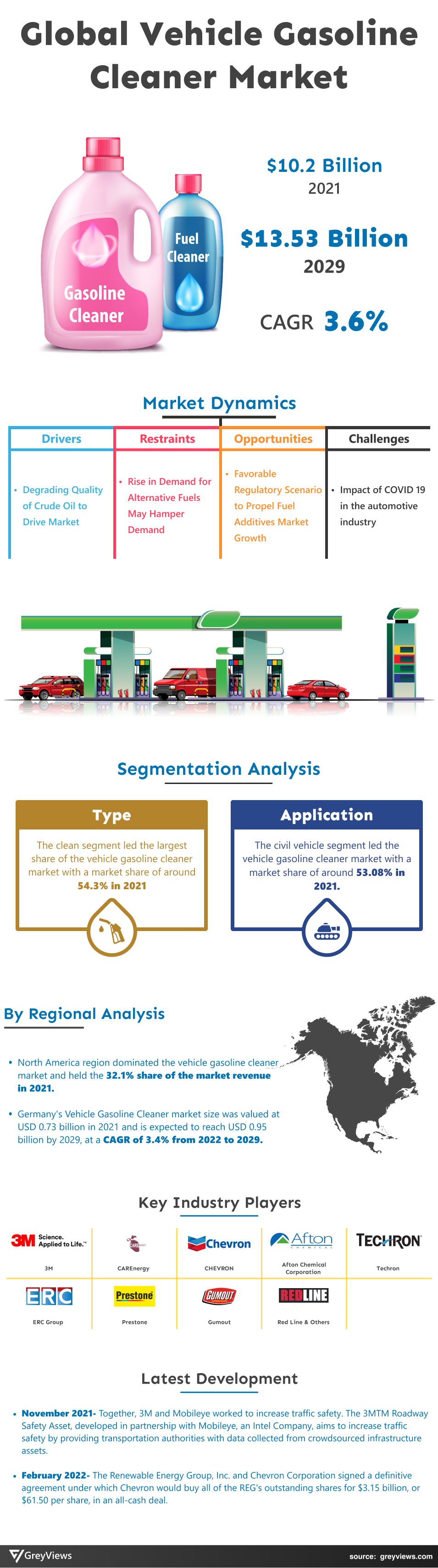 Greyviews Vehicle Gasoline Cleaner Market Infographics